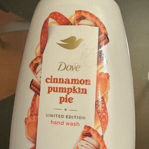 Cinnamon Pumpkin Pie Hand Wash - Limited Edition